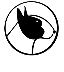 Toro Bullgatti